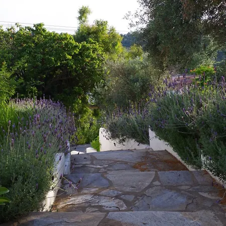 Esperos 2* Τρούλος