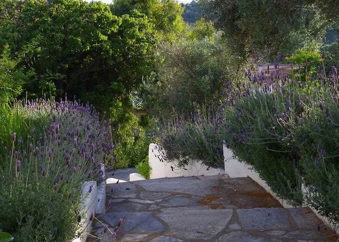 Esperos 2* טרולוס